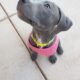 Zara the cutie