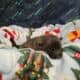 Dutch Shepherd Puppies