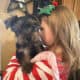 Yorkie