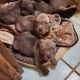 Pit bull pups
