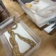 Exotic pythons