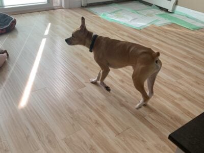 In need of good home ASAP