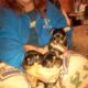 Chorkypoo puppies for Rehoming