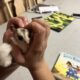Sugar gliders looking for home!!