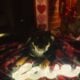 Free to Good Home Female Texas Heeler Puppies