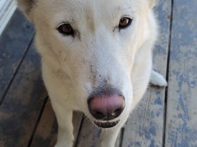 Looking to rehome