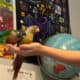 Conures to rehome