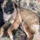 *URGENT* need of home!!!!!! pls help