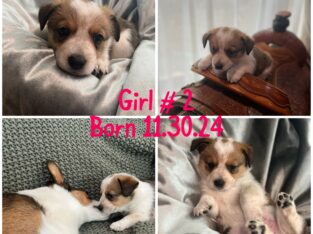 June Girl # 2