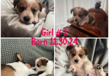 June Girl # 2