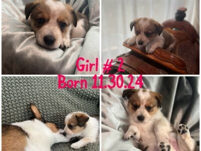 June Girl # 2
