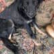 *URGENT* need of home!!!!!! pls help