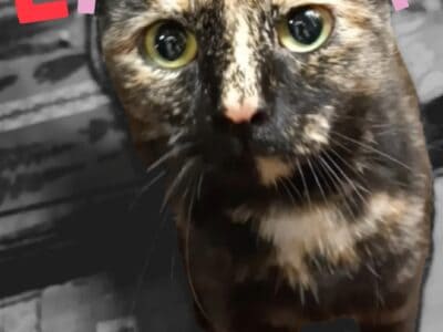 Sweet Girl Needs Second Chance!