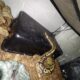 Ball python dessert ghost morph