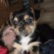 Chorkypoo puppies for Rehoming