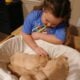 Golden Retriever Puppies