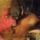 8 adorable puppies