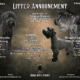 Giant Schnauzer Puppies