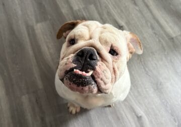Luna