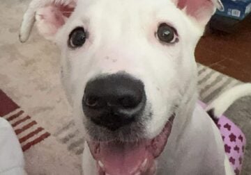 Need to rehome