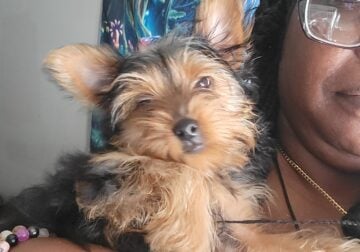 Looking for new family
