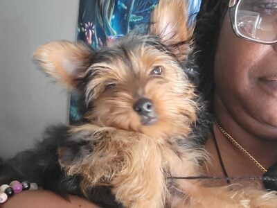 Looking for new family