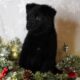 AKC, FCI, imported long coat German Shepherds