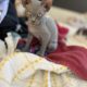 10 Week old half Sphynx/half Siamese kittens