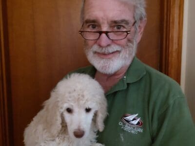 Lovely Standard Poodle Puppies