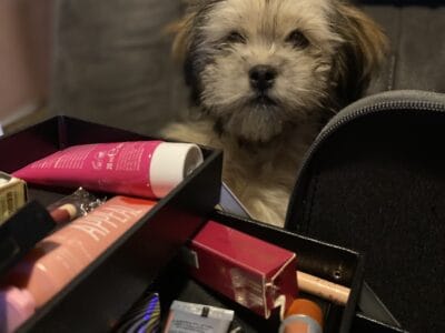 Shihpoo