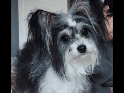 Rehoming to good home