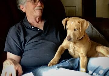 Sweet Pup Seeking Loving Forever Home