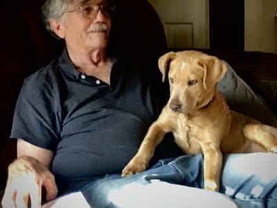 Sweet Pup Seeking Loving Forever Home