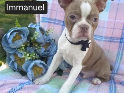 Immanuel