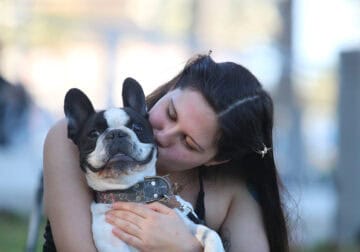 frenchbulldog