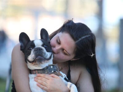 frenchbulldog