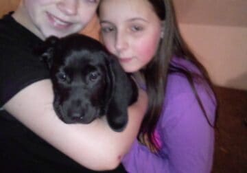 Rehoming Puppy