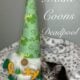 European Maine Coon Kittens