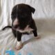 Pit mix