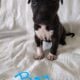 Pit mix
