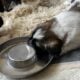 Anatolian Shepherd Puppies