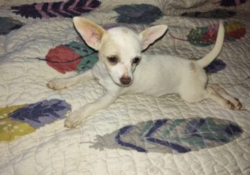 Hope – NE OK – Female