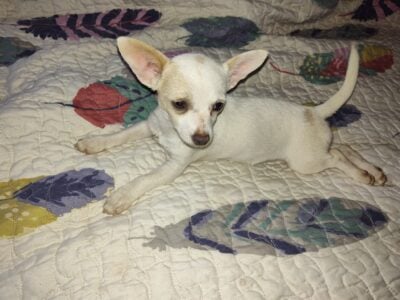 Hope – NE OK – Female