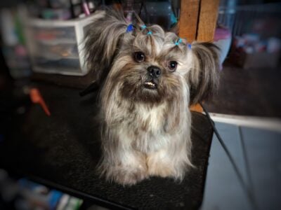 Ewok Naturally-Reared