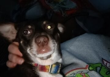 Min pin