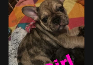 For sale