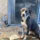 Looking for a home