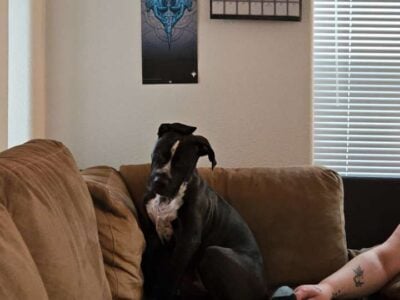6 month old