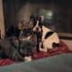 Tri color AKC French bulldog puppy