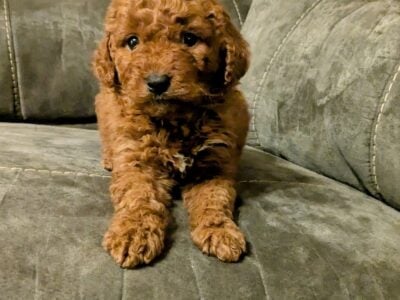 Cute! Nutmeg